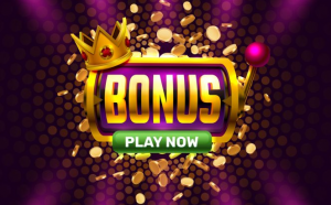 Casino Bonuses